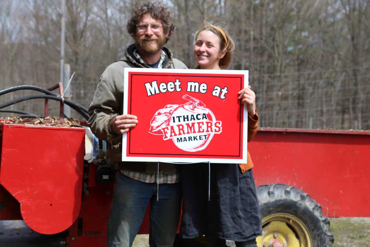 Farm update + Ithaca plant sale + apple trees for sale!